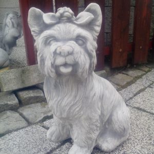 Yorkshire terrier 38cm