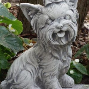 Yorkshire terrier 26cm