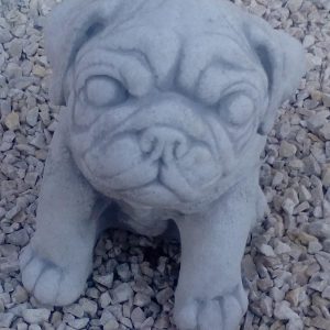 Amerikai bulldog kölyökkutya 23cm