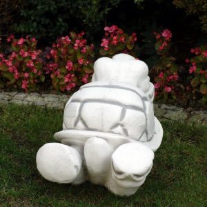 Teknős hason 30cm